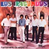 Fue Tormenta de Verano cover art