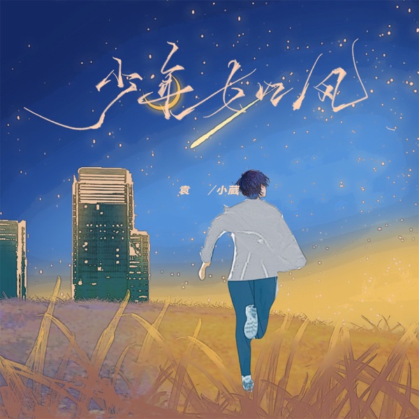 少年如风 - Single