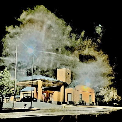 Winter Garden's Wilted Flowers - Single