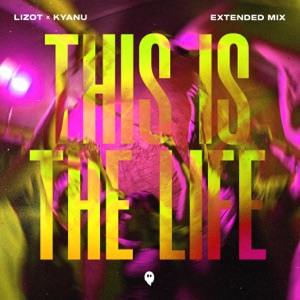 This Is The Life (Extended Mix) - Single