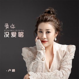 爱你没爱够 (DJ默涵版) 卢喃