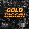 Gold Diggin (Extended Mix) - Single