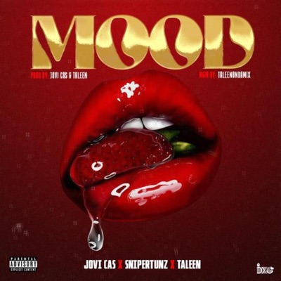 Mood (feat. Snipertunz & Taleen) - Single