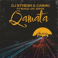 Qamata (feat. Carno, Buhle Jay & Andiie) - Single - DeeJaY Sthesh