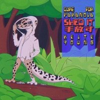 Shed It (Let It Go) - Single - Cure for Paranoia & Keite Young