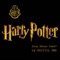 Harry Potter main theme - ORBITAL 365 lyrics