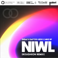 Niwl (Roughion Remix) - Single - Endaf, Dafydd Hedd & Mike RP