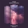 Spring Storm Remixes - EP