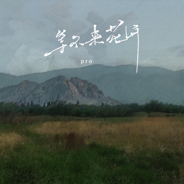 等不来花开 - Single