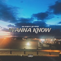 WANNA KNOW (feat. Big Screw DHB) - Single - YB $MØKE