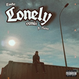 Lonely (feat. Rova) [Remix] Tincho