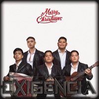 Navidad Sin Ti - Single - Grupo la Exigencia