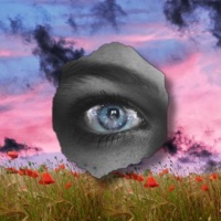 Youforia - Single - Pachuco