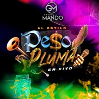 Album cover for AMG by Grupo Mando