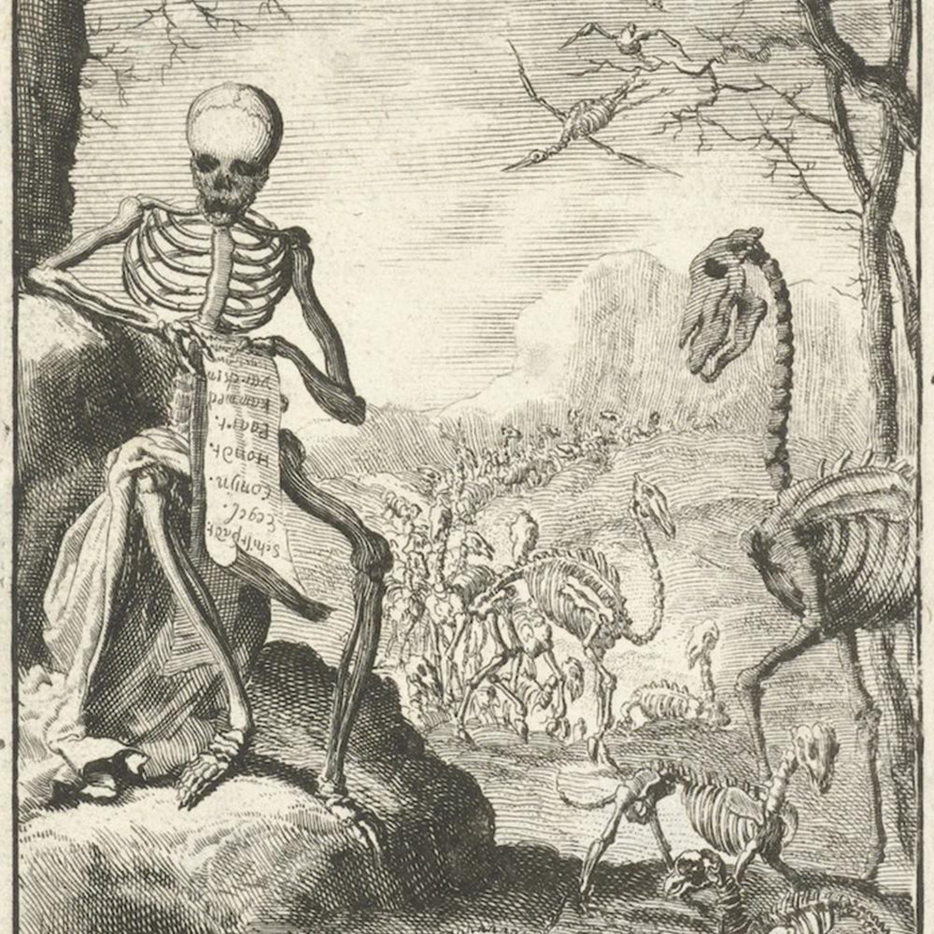 Bones (feat. Pwon) - Single