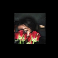 Mamy Zakaz - Single - p^ter & somai