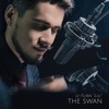 The Swan