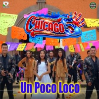 Un Poco Loco - Single - Grupo Chicago 5