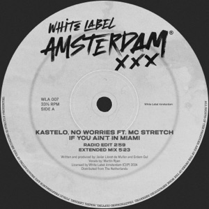 If You Ain't in Miami (Extended Mix) [feat. MC Stretch]