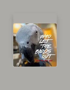 聆聽 Gizmo the Grey Bird、觀看音樂影片、閱讀小傳、查看巡演日期等！