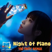 Night of Piano (Remix) artwork