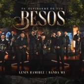 Pa' Olvidarme de tus Besos artwork