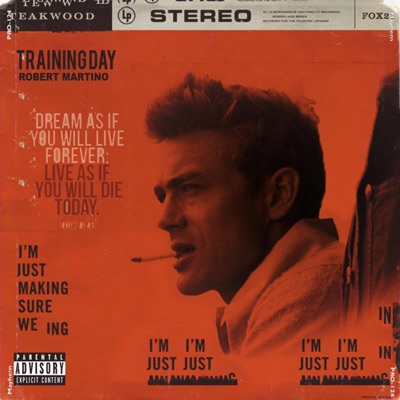 Training Day - Single
