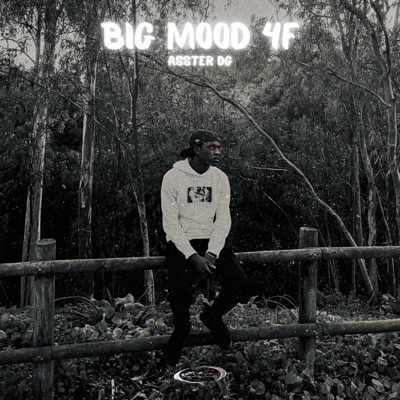 BIG MOOD 4F - EP