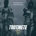 Trotinete