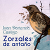 Zorzales de Antaño:Juan D'Arienzo Castigo - Orquesta de Juan D'Arienzo