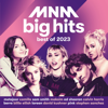 Various Artists - MNM Big Hits - Best Of 2023 artwork