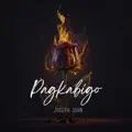 Pagkabigo