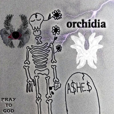 Orchidia (feat. Cvs) - Single