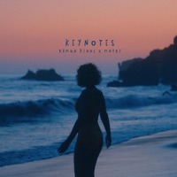 Keynotes - Single - Ramon Binns & MNTRY