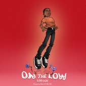 On the Low artwork