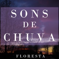 Sons de Chuva na Floresta - Epic Soundscapes, Baltic Nature Sounds & Som de Chuva e Trovões