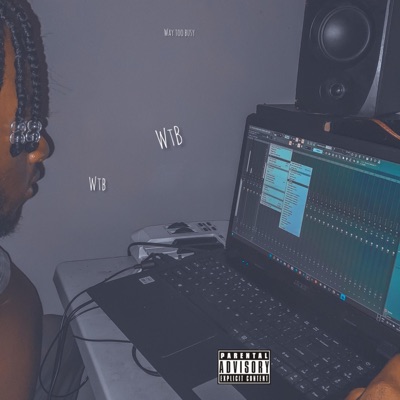 Way Too Busy (Wtb) (feat. Sticks, Ricky Nost & Picesgrey) - Single