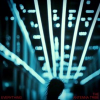 Everything (feat. Silke) - Single - The Antenna Tribe