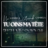 Tu Oins Ma Tête (feat. Annick Gambela) artwork