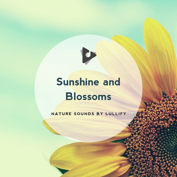 Sunshine and Blossoms