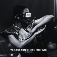 Vois Sur Ton Chemin (Techno) - Single - Vlinder Vos