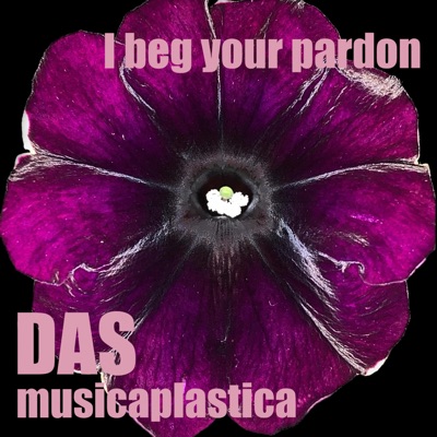 I Beg Your Pardon - Single
