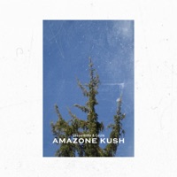 Amazone Kush - Single - Sleepermane & Casiio