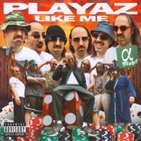 Playaz Like Me - Single - alphamob