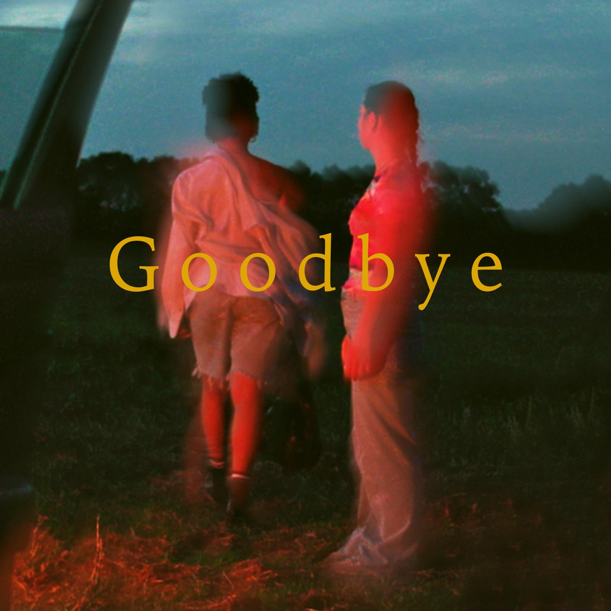 Goodbye - Music Video by AVAION & Sam Welch - Apple Music