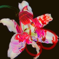 Bloody Diamonds (feat. Woes) - Single - 8ngelonline