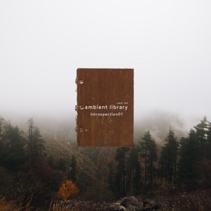Ambient Library (Introspection01)