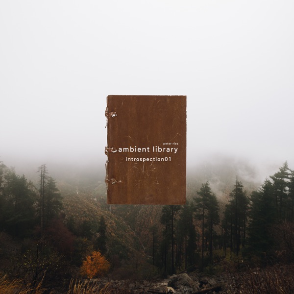 Ambient Library (Introspection01)