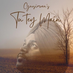 Tu Tey Main - Single