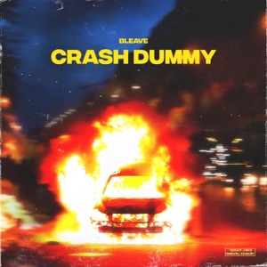 Crash Dummy